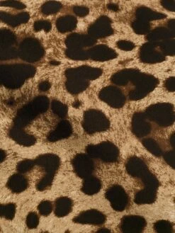 Dolce & Gabbana Abito Stampa Leopard 15 Dolce & Gabbana Abito Stampa Leopard -Negozio Di Abbigliamento Femminile 40530b61 5695 4aa0 b55e e496dfb9f66a